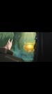 Episodes 21