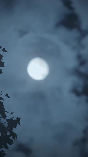 Sinful Triangle With Alpha's Twin Mates Episode 7