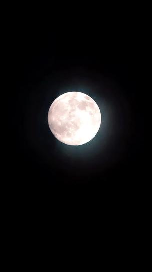 The Legend of The White Wolf Episode 1