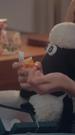Épisodes 31