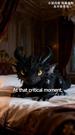 Episodes 30