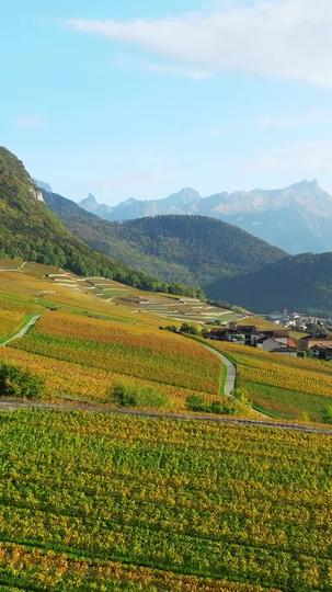 A Lover in A Wheelchair Who Cannot Escape Episode 7