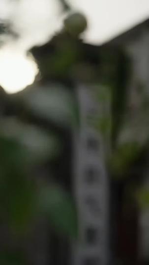 The Wastrel Who Wins It All Episode 1