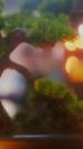 Episodes 38