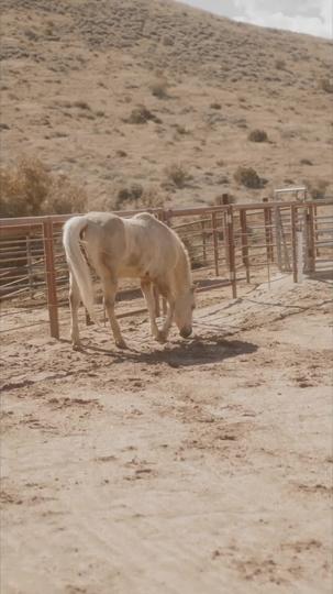 My Secret With Country Boys Episode 4