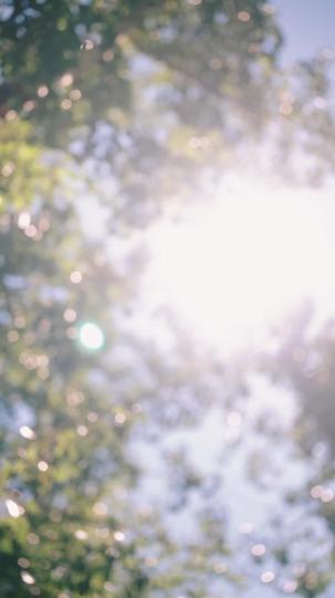 旧年风月终成过往 第1集