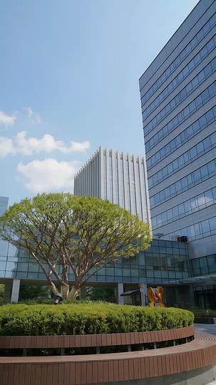 D-100: 남편을 리셋합니다 제7회