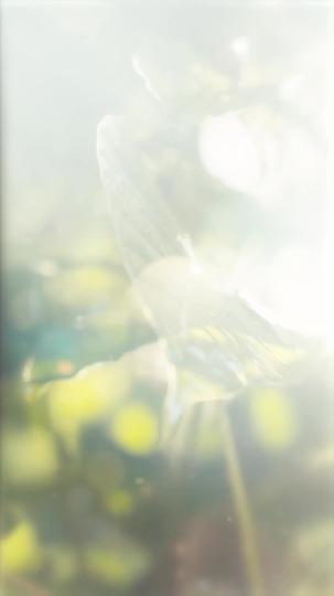 จูบไม่พัก รักไม่แผ่ว(พากย์ไทย) ที่1ตอน