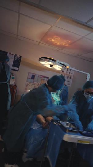 CEO Renascida: Ex-Marido em Prantos 1Episódio