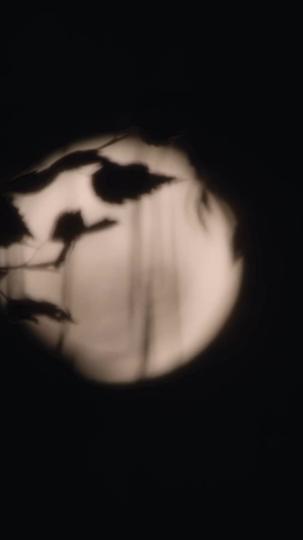 Love at First Bite Episode 5