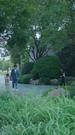 Episodes 68