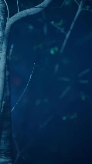 No More Chances, No More Me Episode 11