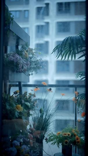 春尽人不归 第5集