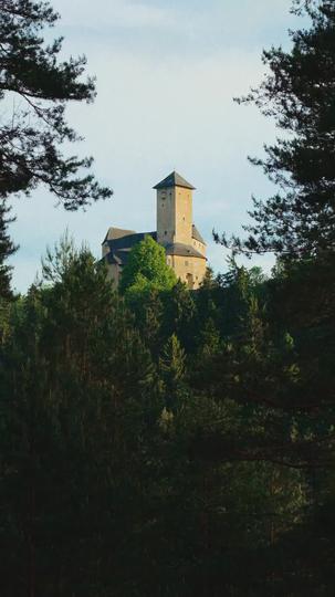 La Sustituta Predestinada de Alfa Episodio 1