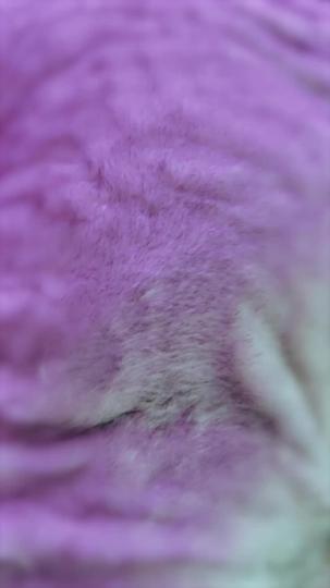 Mariée au Milliardaire de la Campagne Épisode10