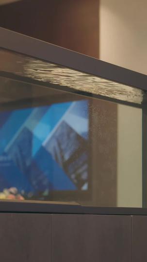 Uma noite com Rei Dragão, Duas Fofuras em Ação 9Episódio