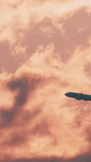 The Reunion of Genius Baby Episode 1