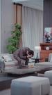 Episodes 36