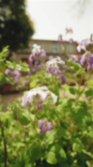 重回八零，兒女靠邊站 第1集