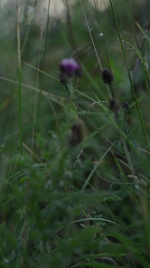 My Domineering Prince Episode 7