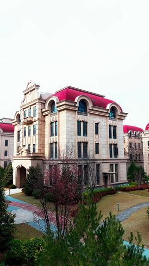 假千金也是寶 第10集