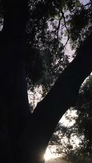 Der Prinz der verstoßenen Luna 4Folgen