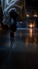 The Wolf King Can't Resist Me Episode 1