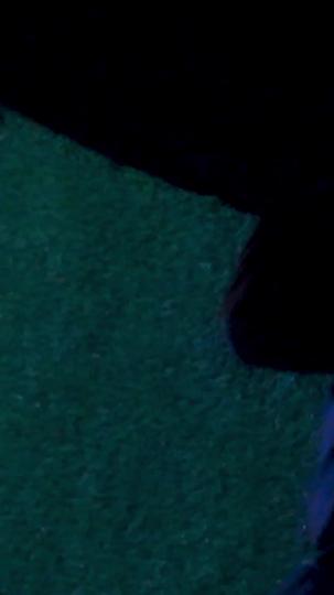 Her Forbidden Lovers Episode 7