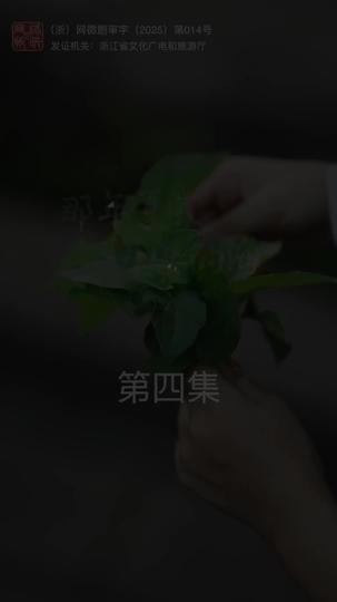 那年夏天外婆的海 第4集