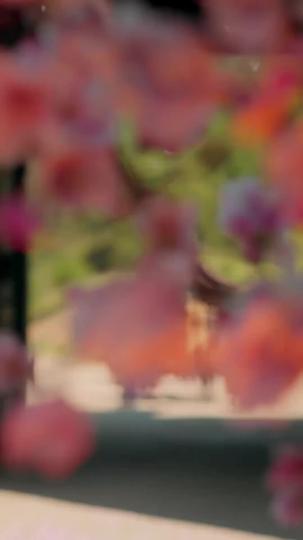 從贅婿到寵臣 第二季 第1集