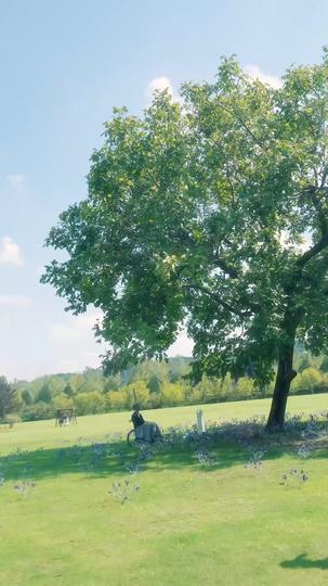 Tus mentiras no volverán a ganar Episodio 1