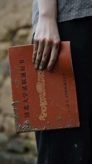 一头牛,一本录取通知书 第3集