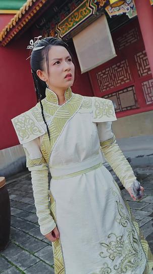 我的老婆是将军 第9集