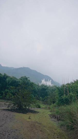 我打野硬控全场 第7集