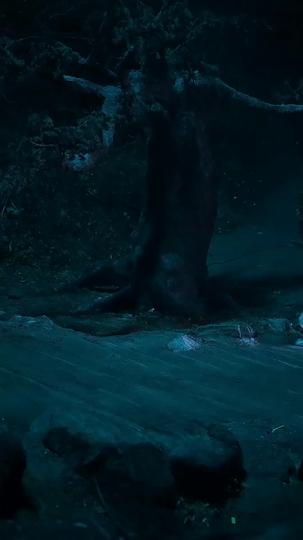 Shadows of Valor Episode 8