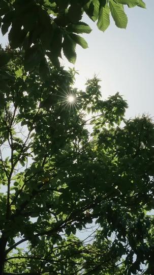 大小姐的復仇，從結婚開始 第8集