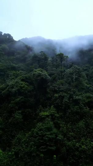 The Call of the Wild Unknown Episode 1