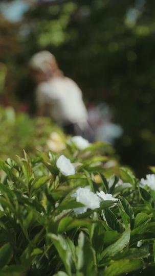 The Alpha King's True Luna Episode 11