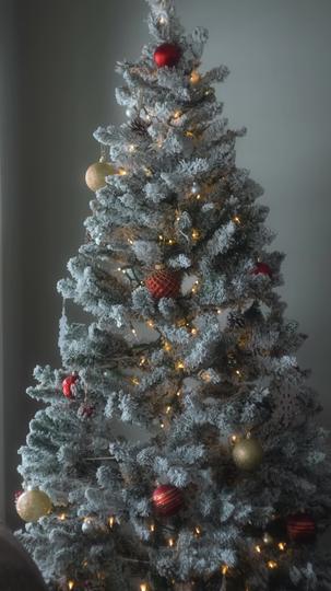 The Christmas Twin Miracle Episode 2