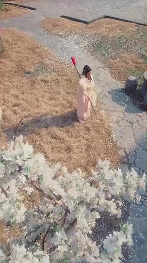 배꽃은 봄추위를 떠나서 제3회