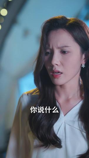 不在灯火阑珊处 第11集