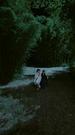 Episodes 52