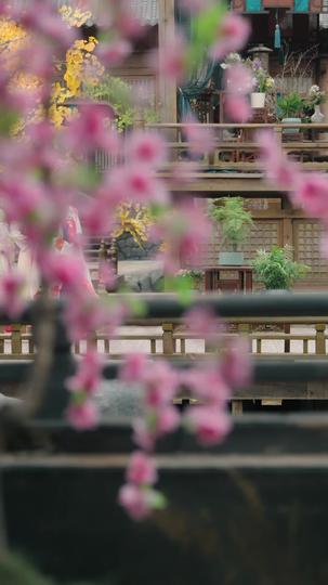 我靠宫心秘籍勇闯后宫 第8集