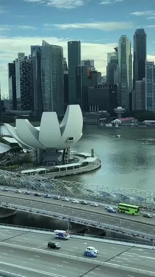 撕毁贤妻手册后，我只爱自己 第11集