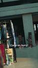 Episode 31