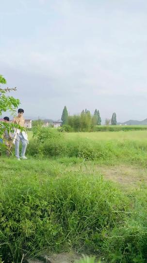 ぶりっ子お嬢様は恋上手 第 10 話