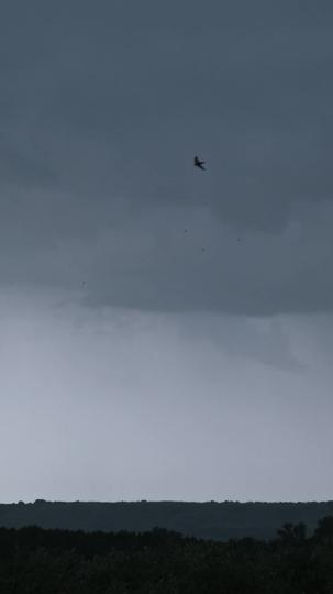 Onkel, ich liebe dich 10Folgen