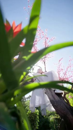 Of Wings, Whiskers, and Thrones Episode 1