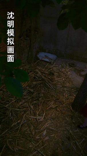 她的最后证词 第8集