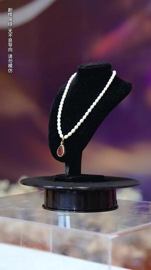 白玫瑰进阶手册 第2集